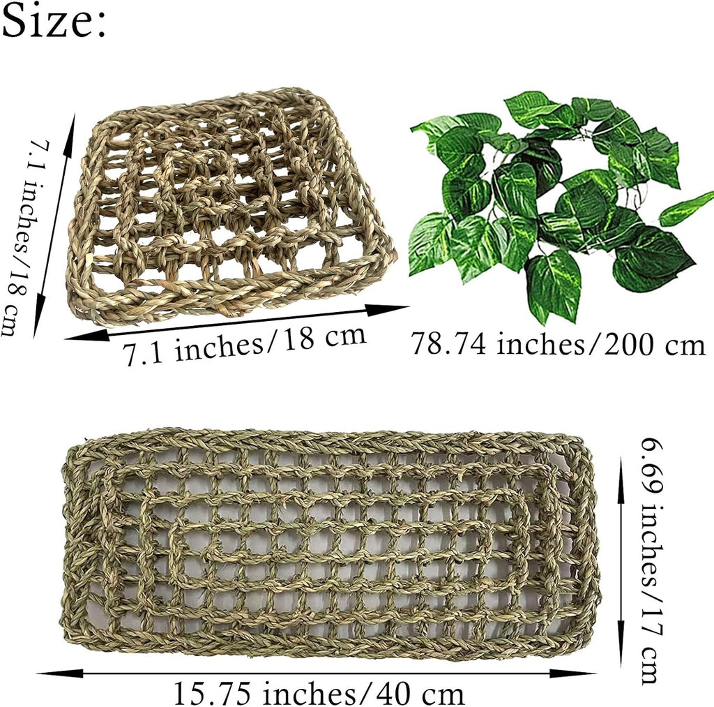 4 PCS Bearded Dragon Hammock,Lizard Lounger Reptile Natural Seagrass Hammocks Climb Vines Plant Decoration Terrarium Accessories for Lizards Chameleon Gecko Snakes Crown Geckos
