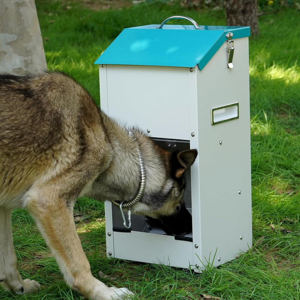 Galvanized Gravity Automatic Dog Feeder 15 lbs Outdoor Dog Feeders