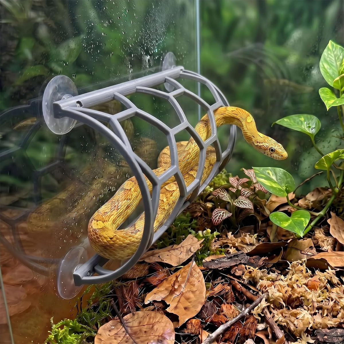 Reptile Honeycomb Climbing Shelf, Suction Cup Snake Hide & Rest Platform, Terrarium Wall Climbing Decor for Ball Python, Corn Snake, Gecko, Bearded Dragon & Lizard (Wood Color)