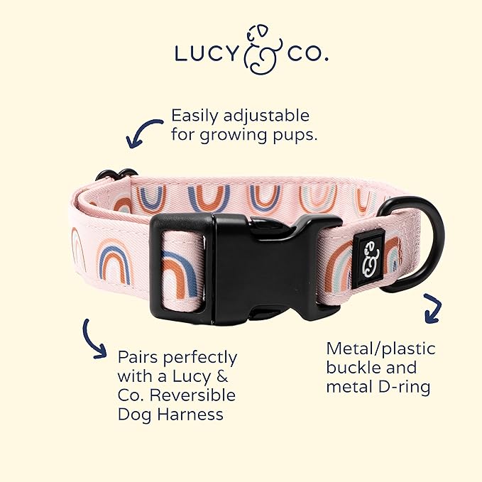 Lucy & Co. in The Clouds Adjustable Dog Collar- Cute Designer Pet Collar - Image 2