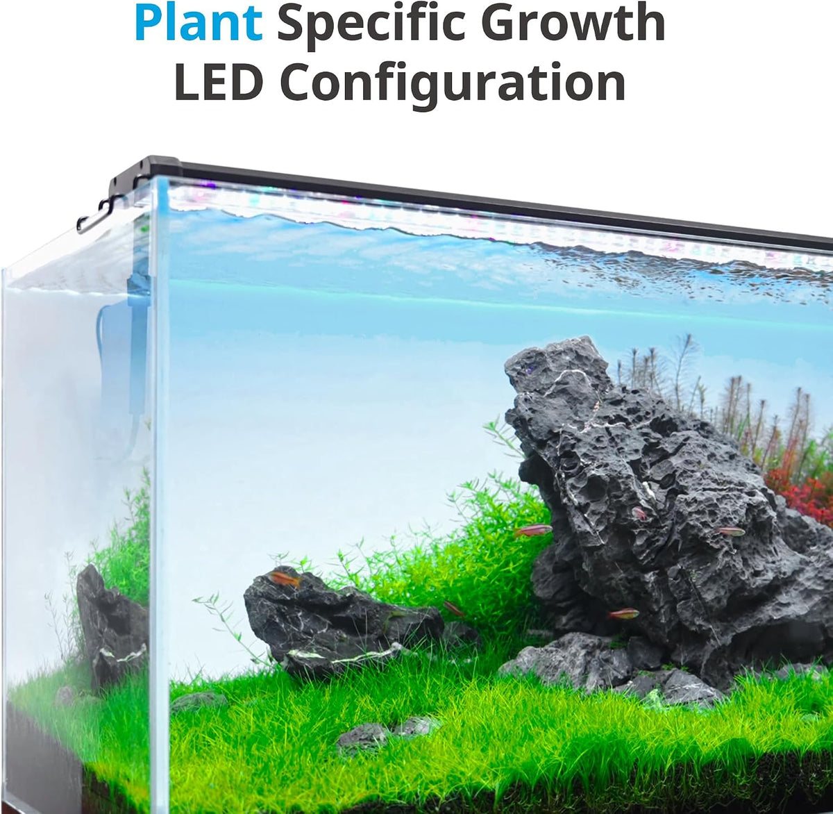 NICREW ClassicLED Plus LED Aquarium Light, 10W, for 12 to 18 Inch Fish Tank