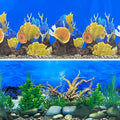 Aquarium Background Seabed Coral Rock Water Plants Fish Tank Backdrop 10 20 by XCNO