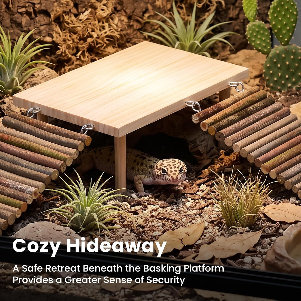 ZooZoo Bearded Dragon Basking Platform & Hide Cave with Dual Ramps, 12x8in