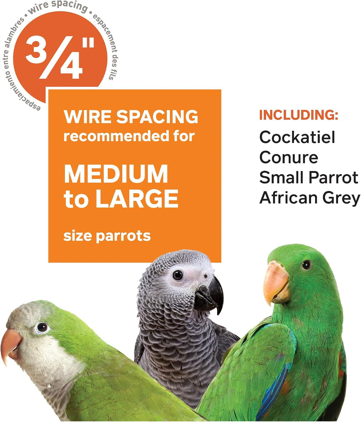 Prevue Pet Products Wrought Iron Select Bird Cage - L, Black Hammertone