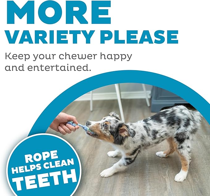 Outward Hound Pupstages Mini Dentachew Pack Dental Chew Toy, Fetch & Tug Rope - Image 5