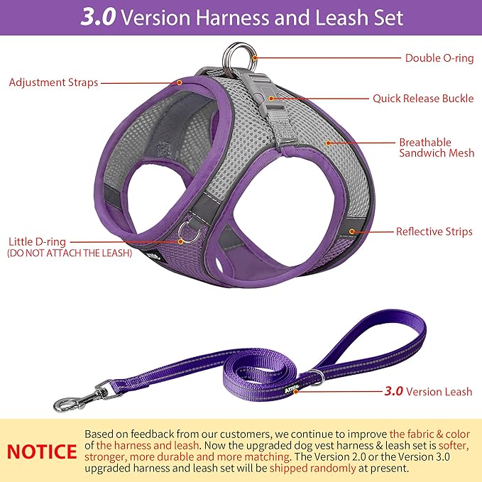 AIITLE No Pull Dog Harness and Leash Set, Step in Adjustable Dog Harness - Image 7