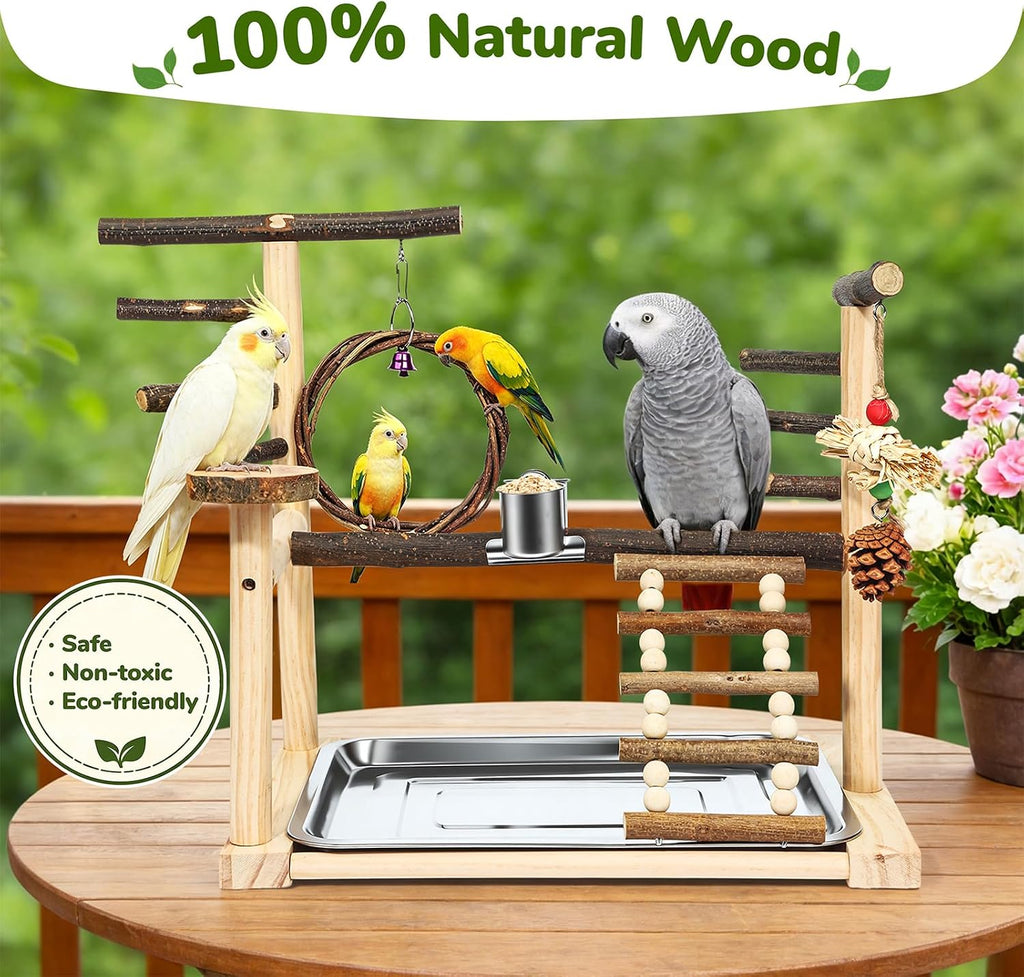 Bird Playground Wooden Parrot Stand for Small to Medium Birds
