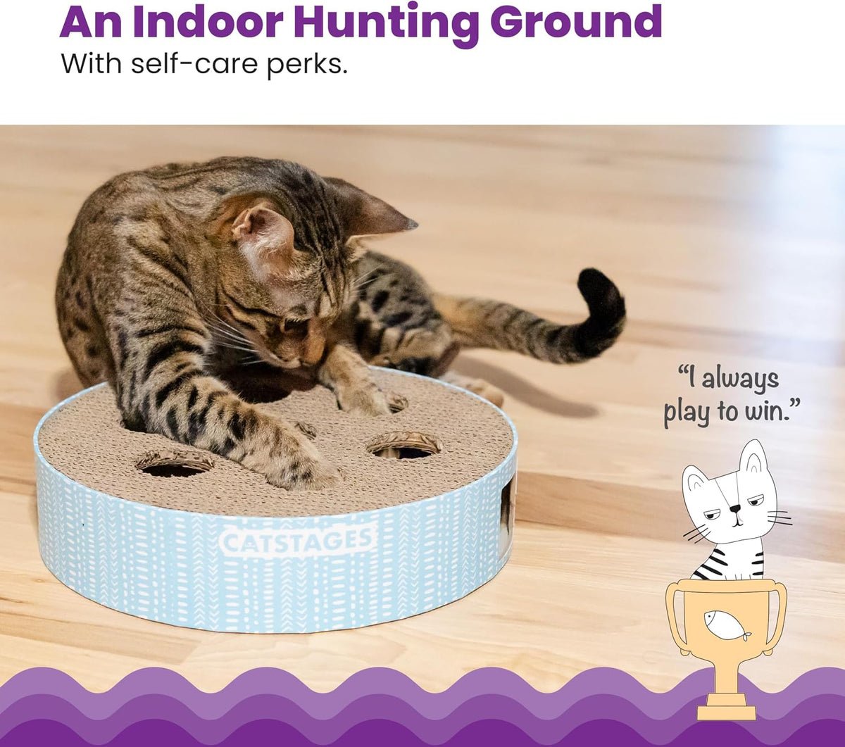 Catstages Scratch N' Hunt Interactive Cat Puzzle Toy with Scratcher, 11"