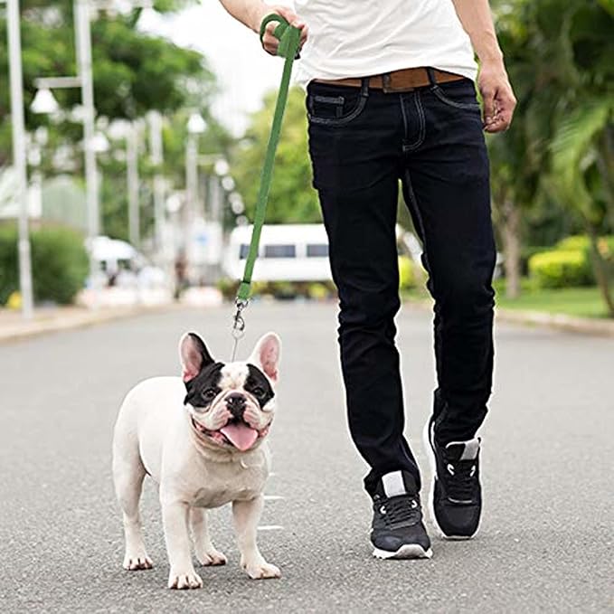 Downtown Pet Supply - Image 5