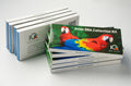 Bird DNA Gender Test Kit