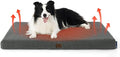Bedsure Self Warming Dog Beds Large Sized Dog by BEDSURE