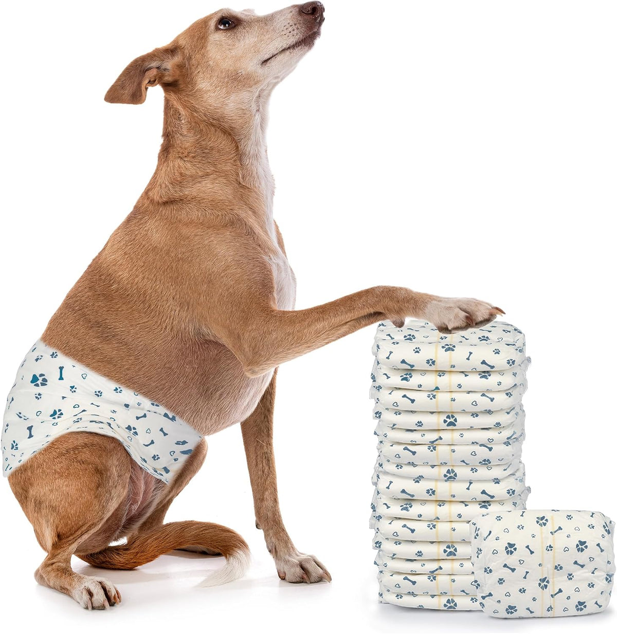 LeapSheep Disposable Dog Diapers Male, Super Absorbent Male Dog Wraps, Puppy Diapers for Doggie Training, Excitable Urination, Incontinence (XSmall, 20ct)