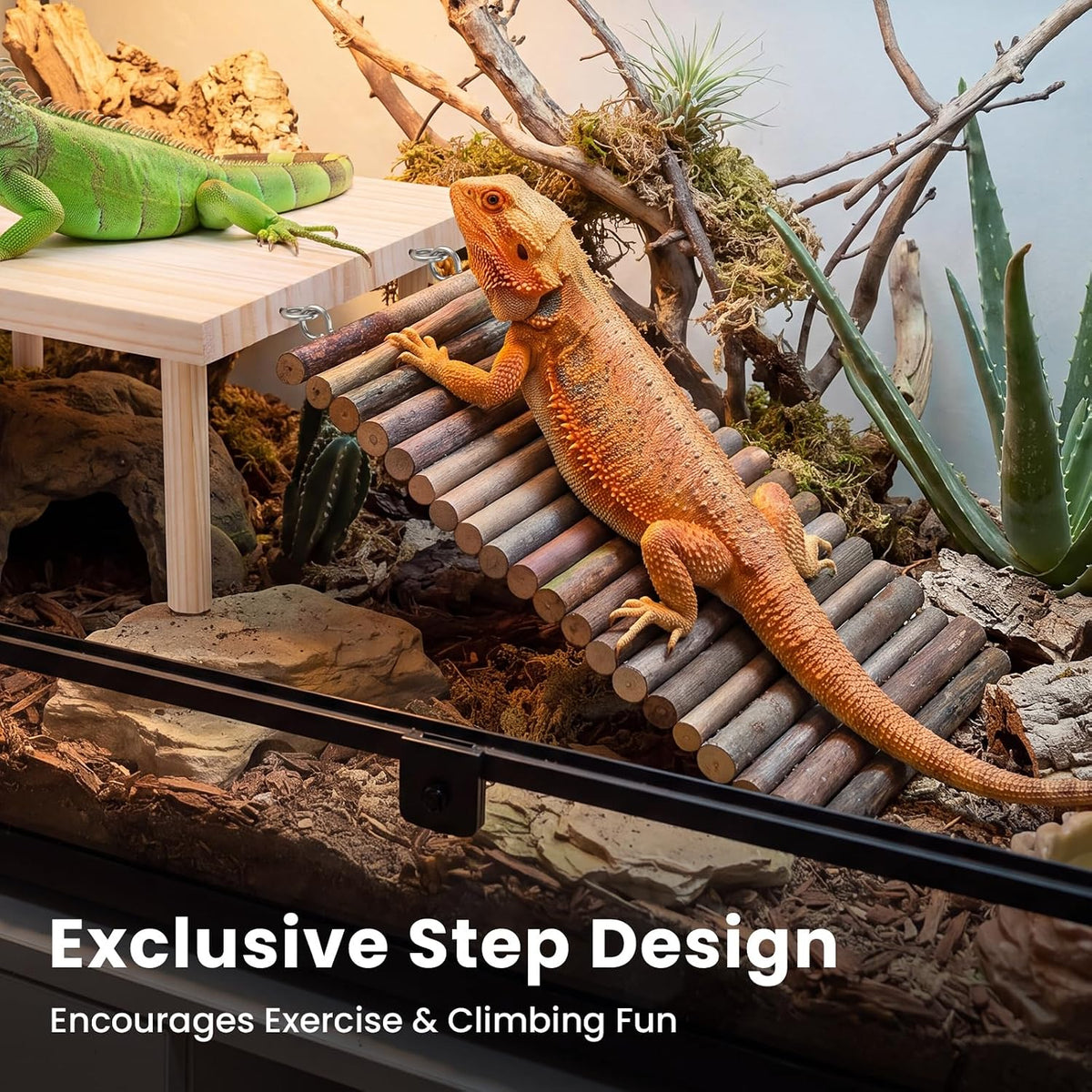 ZooZoo Bearded Dragon Basking Platform & Hide Cave with Dual Ramps, 12x8in