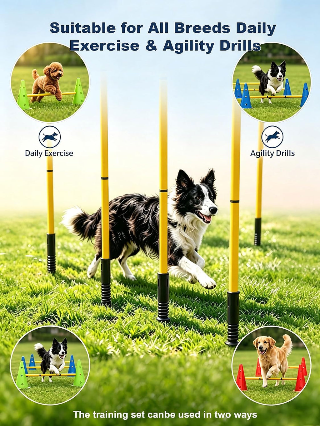 Dog Agility Training Hurdle Cone Set, Adjustable Dog Agility Equipment Obstacle Course Backyard Equipment for Pet Exercise