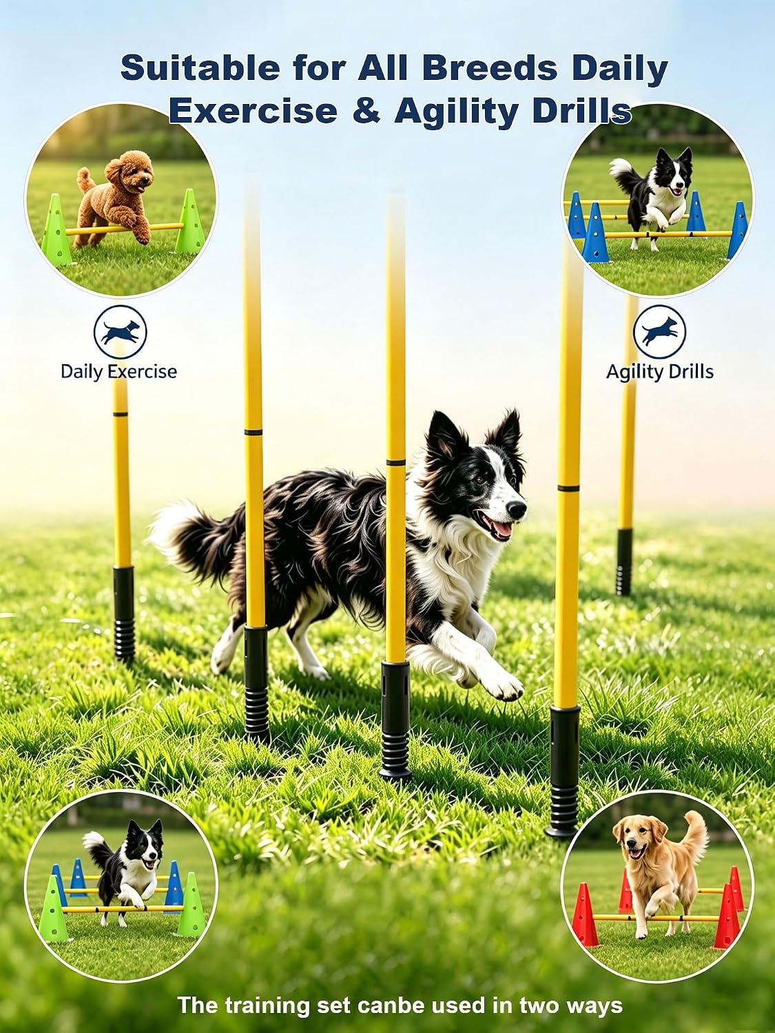 Dog Agility Training Hurdle Cone Set, Adjustable Dog Agility Equipment Obstacle Course Backyard Equipment for Pet Exercise