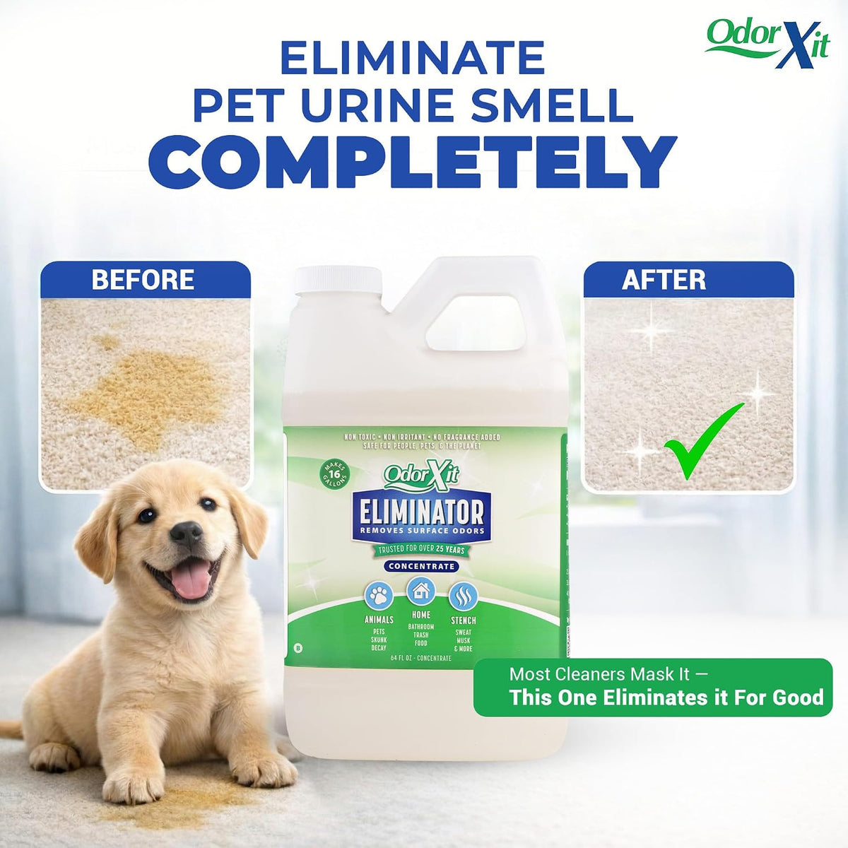 Concentrated Pet Urine Odor Eliminator, Ideal for Cat, Dog Poo and Urine Smell, Versatile & Natural Odor Neutralizer for Home and Outdoor Use, Deodorizer & Absorber, Concentrate, 64oz