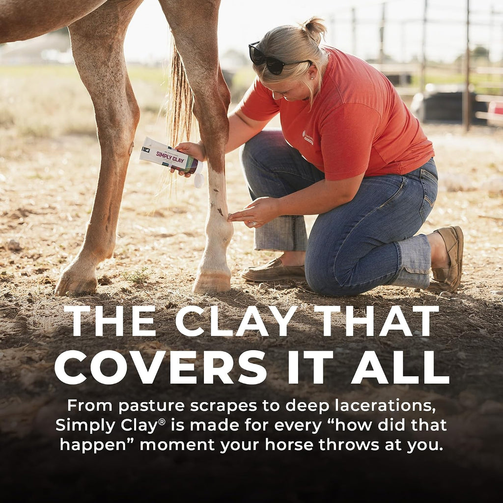 Redmond First Aid - All Natural Hydrated Clay for Horses, 8 Oz Tube