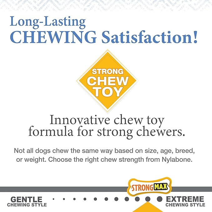 Nylabone Gourmet Style Femur Bone Strong Chew Toy - Image 7
