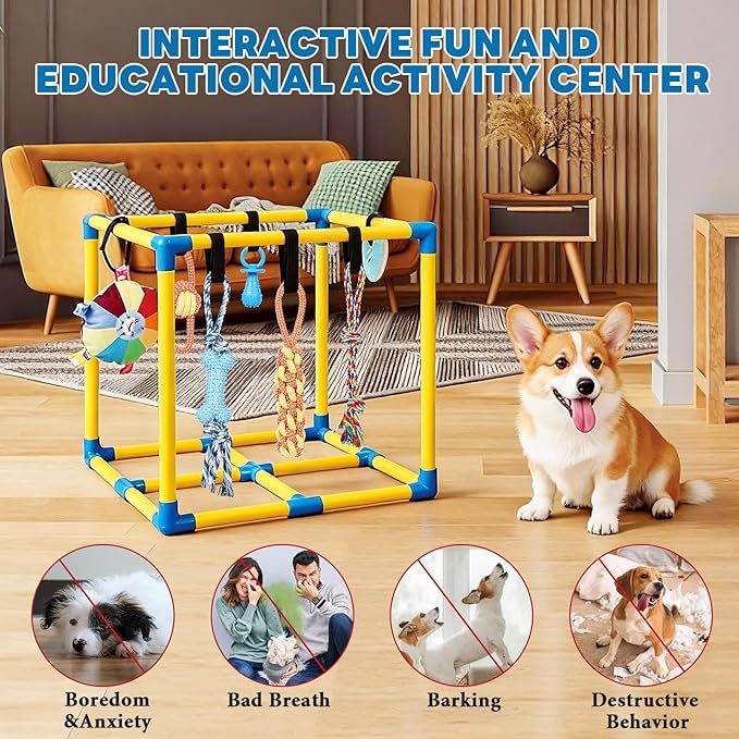 Puppy Play Gym for Small Dogs - Image 5