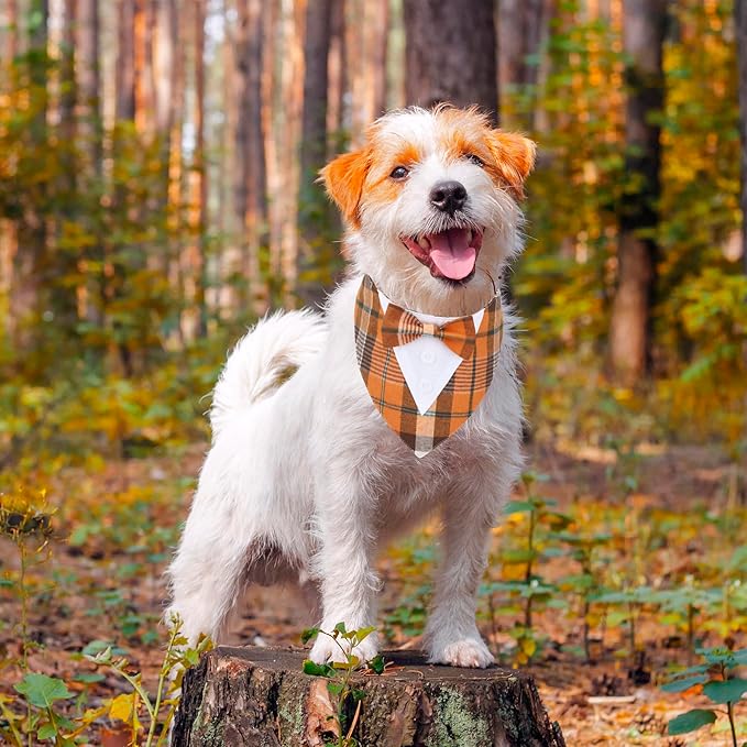 ADOGGYGO Fall Dog Tuxedo Bandana, Adjustable Halloween Thanksgiving Formal - Image 3