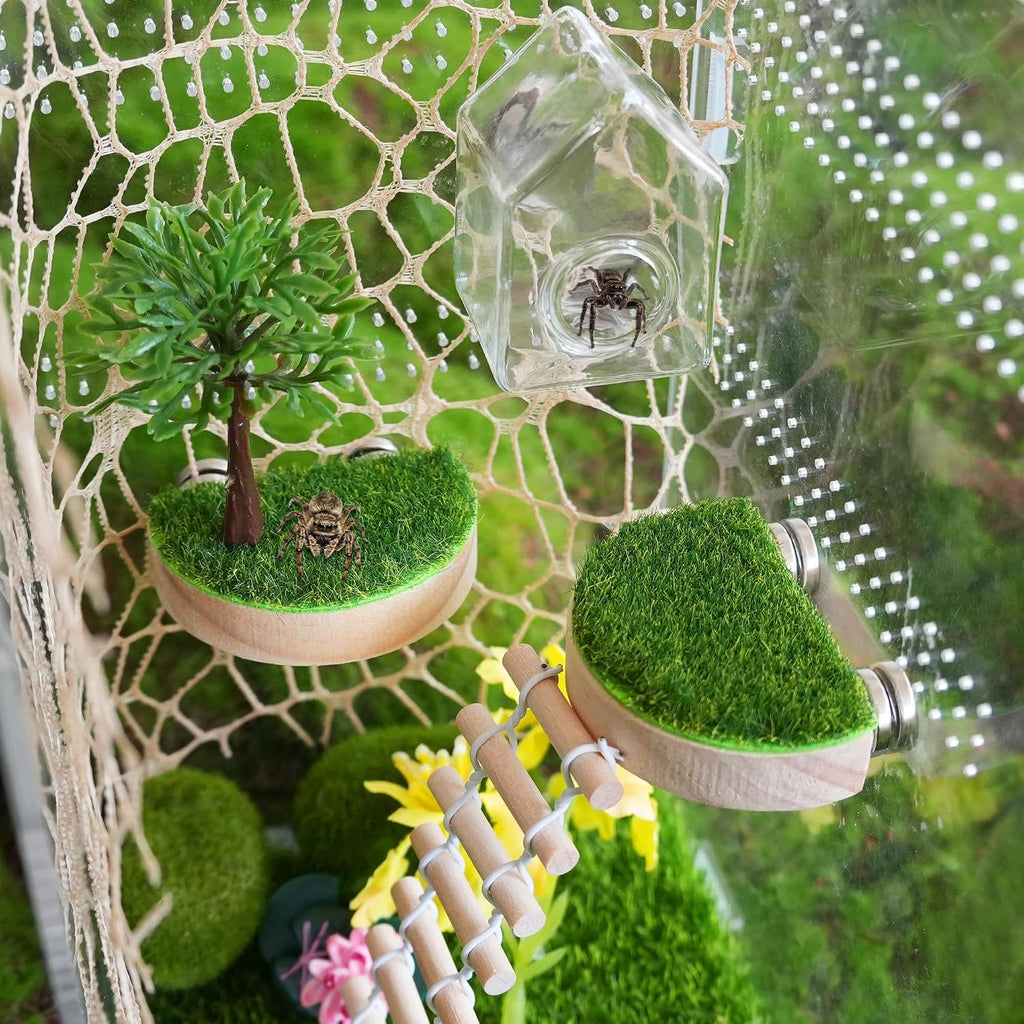6 Pcs Jumping Spider Enclosure Accessories Kit Magnetic Glass House Jumping Spider Hide Habitat Wooden Forest Platforms Spider Climing Web Ladder for Decor Climbing & Hiding and Resting