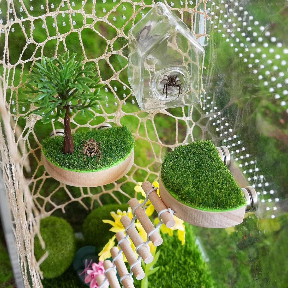 6 Pcs Jumping Spider Enclosure Accessories Kit Magnetic Glass House Jumping Spider Hide Habitat Wooden Forest Platforms Spider Climing Web Ladder for Decor Climbing & Hiding and Resting