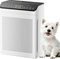 Air Purifiers for Home Large Room up to 2200sq.ft by Unknown