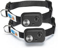 MS-5 ECON Automatic Pet Door Collar 2-Pack, Genuine High Tech Pet Brand Dog by HighTechPet