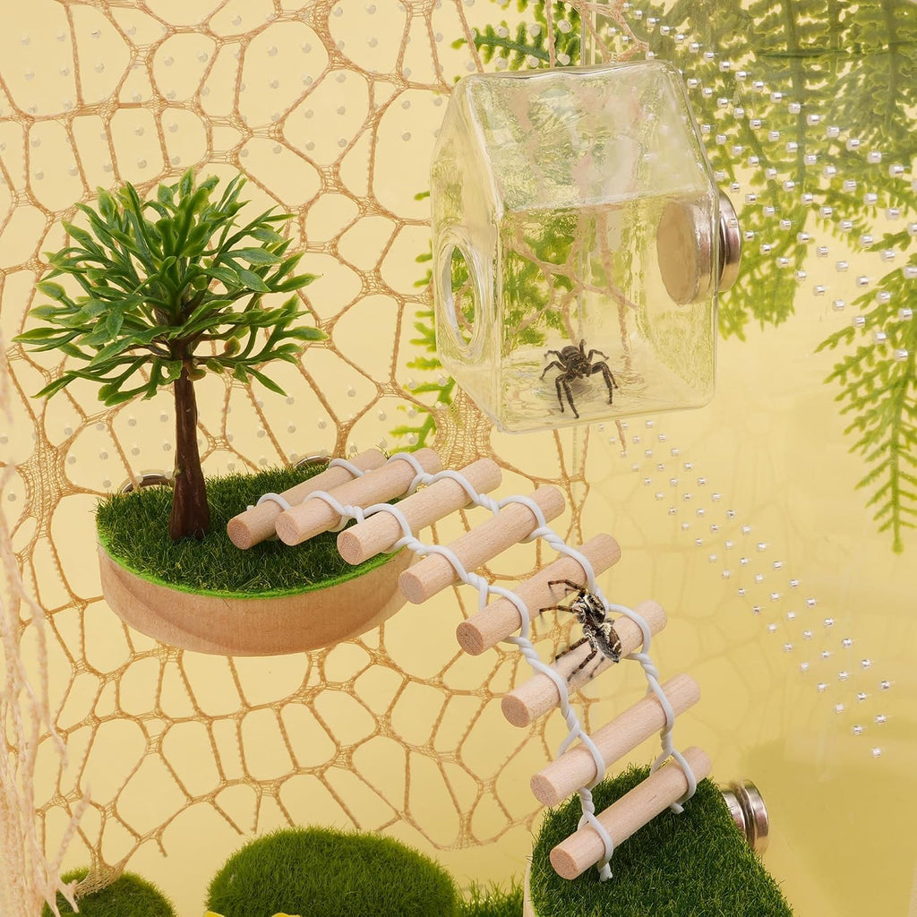 6 Pcs Jumping Spider Enclosure Accessories Kit Magnetic Glass House Jumping Spider Hide Habitat Wooden Forest Platforms Spider Climing Web Ladder for Decor Climbing & Hiding and Resting