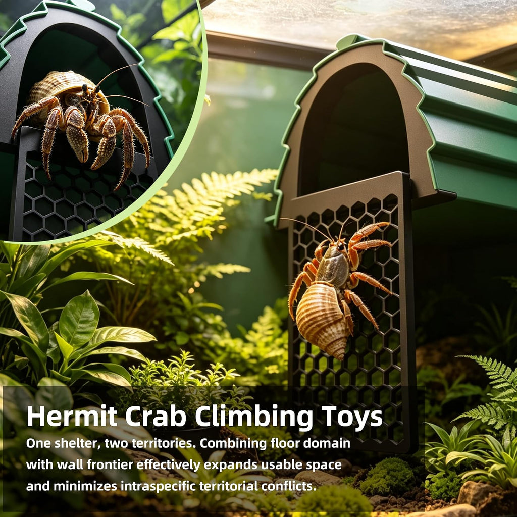 Hermit Crab Foraging Cave with Ladder, Hermit Crab Accessories