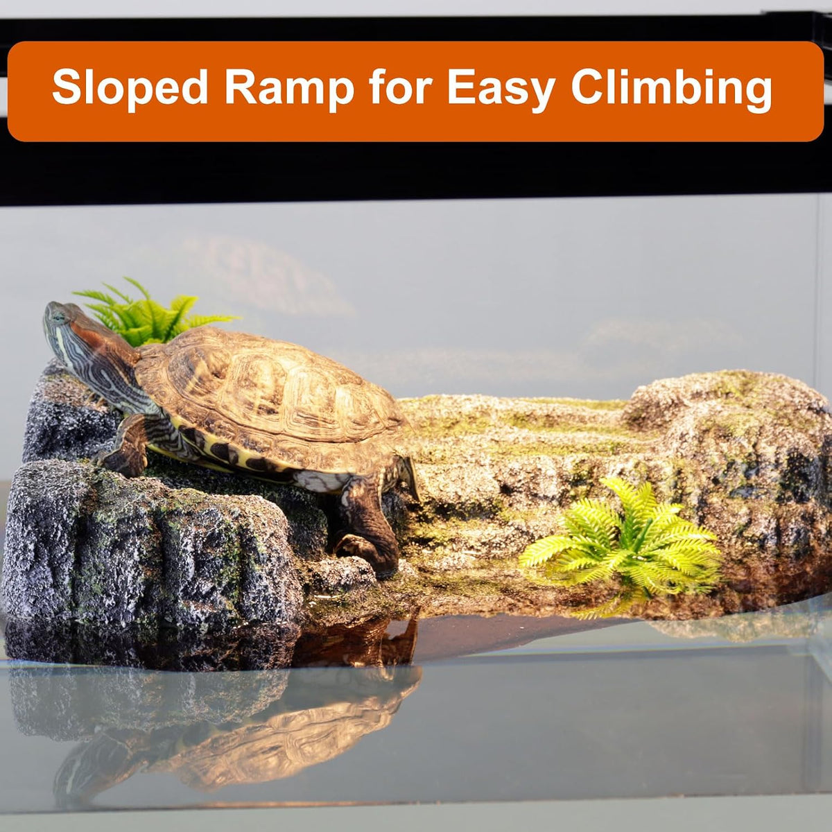 Turtle Basking Platform, Floating Turtle Dock, Turtle Tank Decor