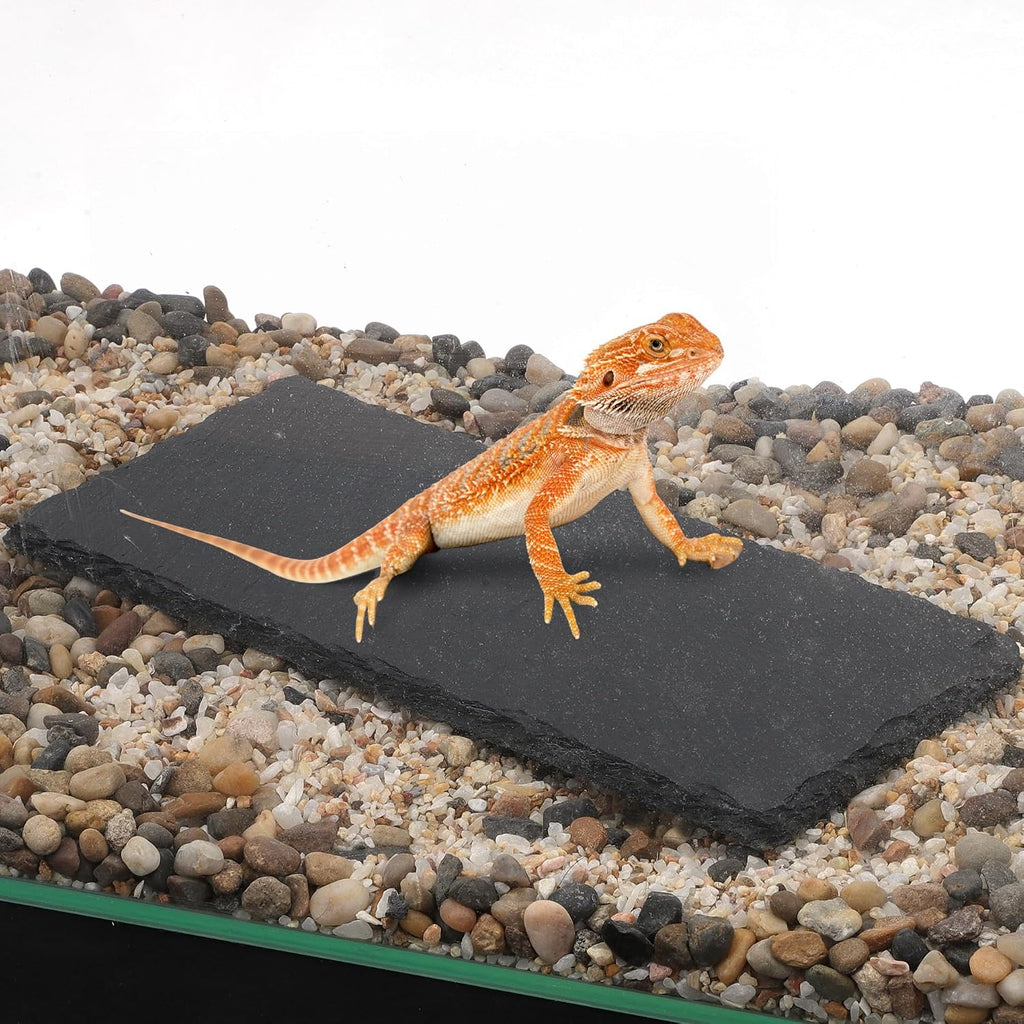 Reptiles Slate Rocks, Basking Surface Reptile Basking Platform, Enhances Climbing Activity, 9.84"x4.72", Black Gray