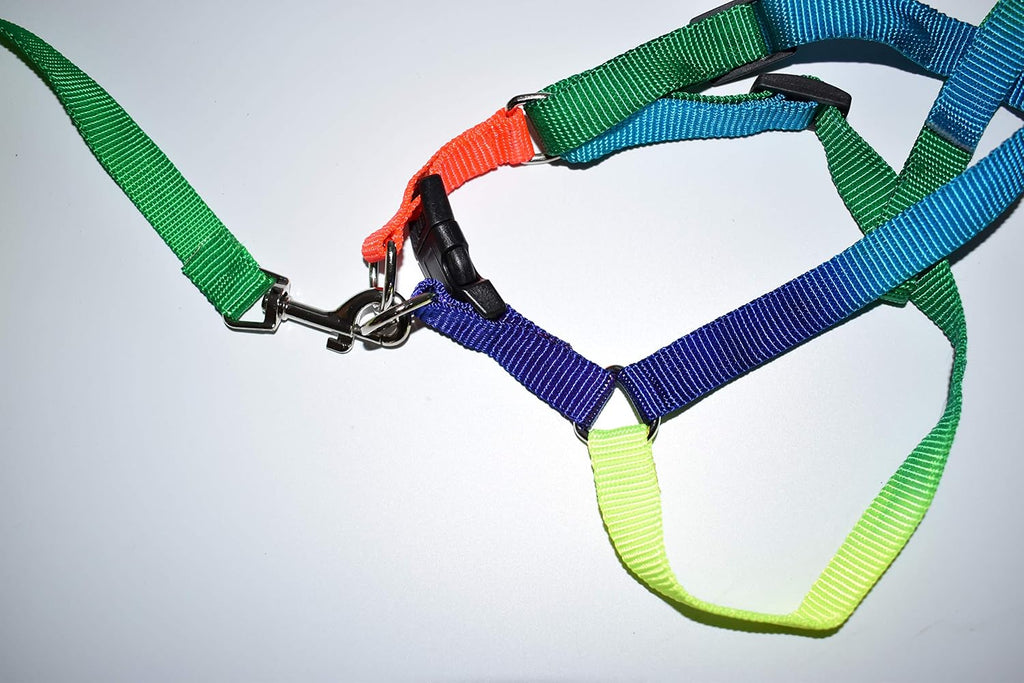 Mini Pig Adjustable Harness Leash for Hog Piggy