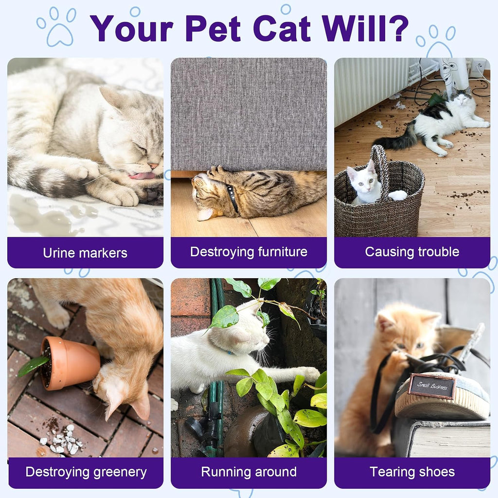 Cat Deterrent Spray, Plant-Based Cat Repellent Spray to Protect Furniture, Anti-Scratch & Chewing Control for Sofas, Carpets & Plants, Indoor & Outdoor Cat Training Aid (1 Pcs)