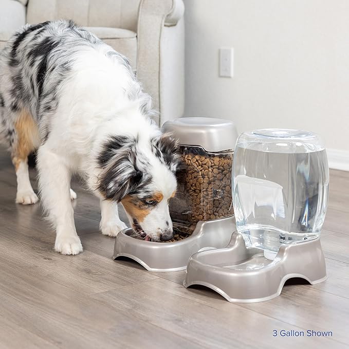Petmate Pet Cafe Cat and Dog Water Dispenser - Image 8