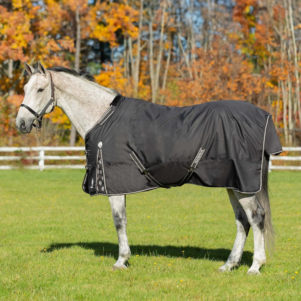 Equinavia Norse Lightweight Horse Turnout Blanket 100g, 600D Ripstop Shell