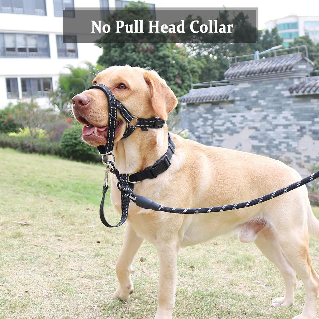 XL Reflective Head Collar and XL Adjustable No Pull Muzzle Leash Bundle for Large Dogs, Effective Dog Training Tools to Easy Control on Walks
