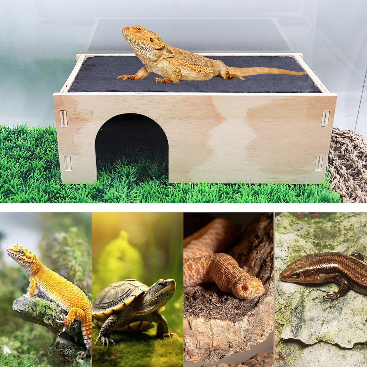 2-in-1 Bearded Dragon Basking Platform with Hideout, Slate Rocks for Reptiles with Base, Leopard Gecko Hides and Caves, Reptile Tank Accessories for Bearded Dragons, Geckos, Ball Pythons, Tortoise