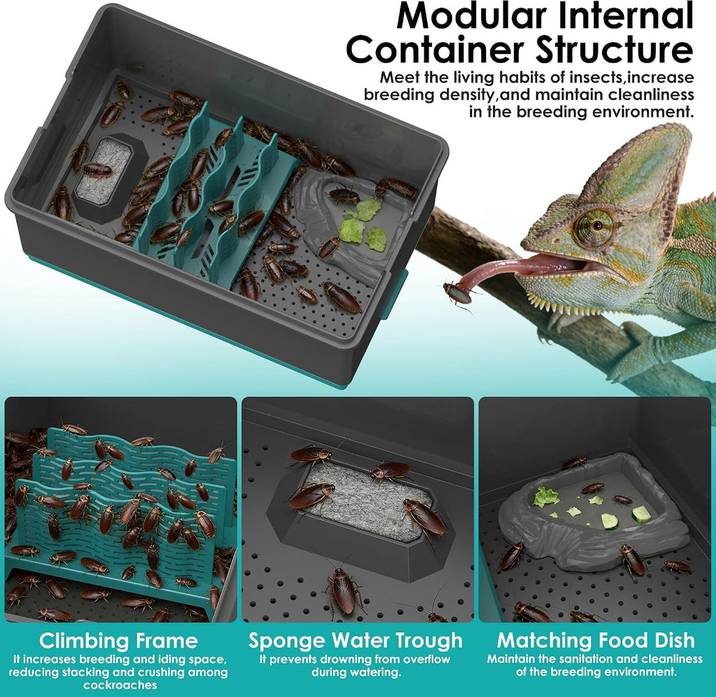 Self-Cleaning Cricket & Roach Feeder Habitat with Escape-Proof Lid