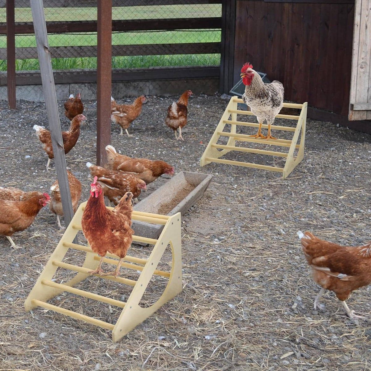 Chicken Roosting Bar Solid Wood Roosting Ladder Poultry Perch Stand Jungle Gym for Backyards Chicken Coops Farms Chicken Toy for Chicks Hens Roosters Large Birds Parrots Macaws S