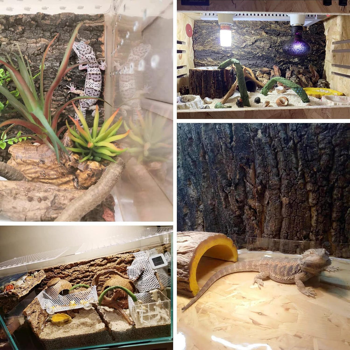kathson 10PCS Cork Tile Background Bark 7.9”Lx7.9”W Reptile Tank Background Terrarium Backdrop Wall Decor Natural Reptile Climbing Mat for Spider Gecko Lizard Chameleon Bearded Dragon Turtle Snake