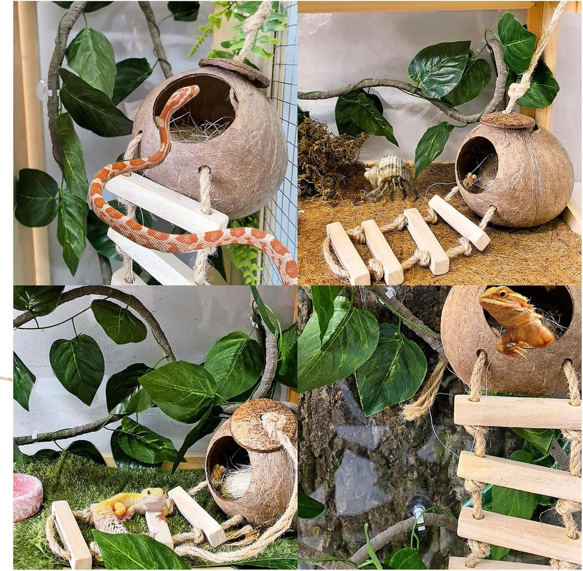 Tfwadmx Crested Gecko Coconut Shell Hide with Ladder Hanging Reptile Vine