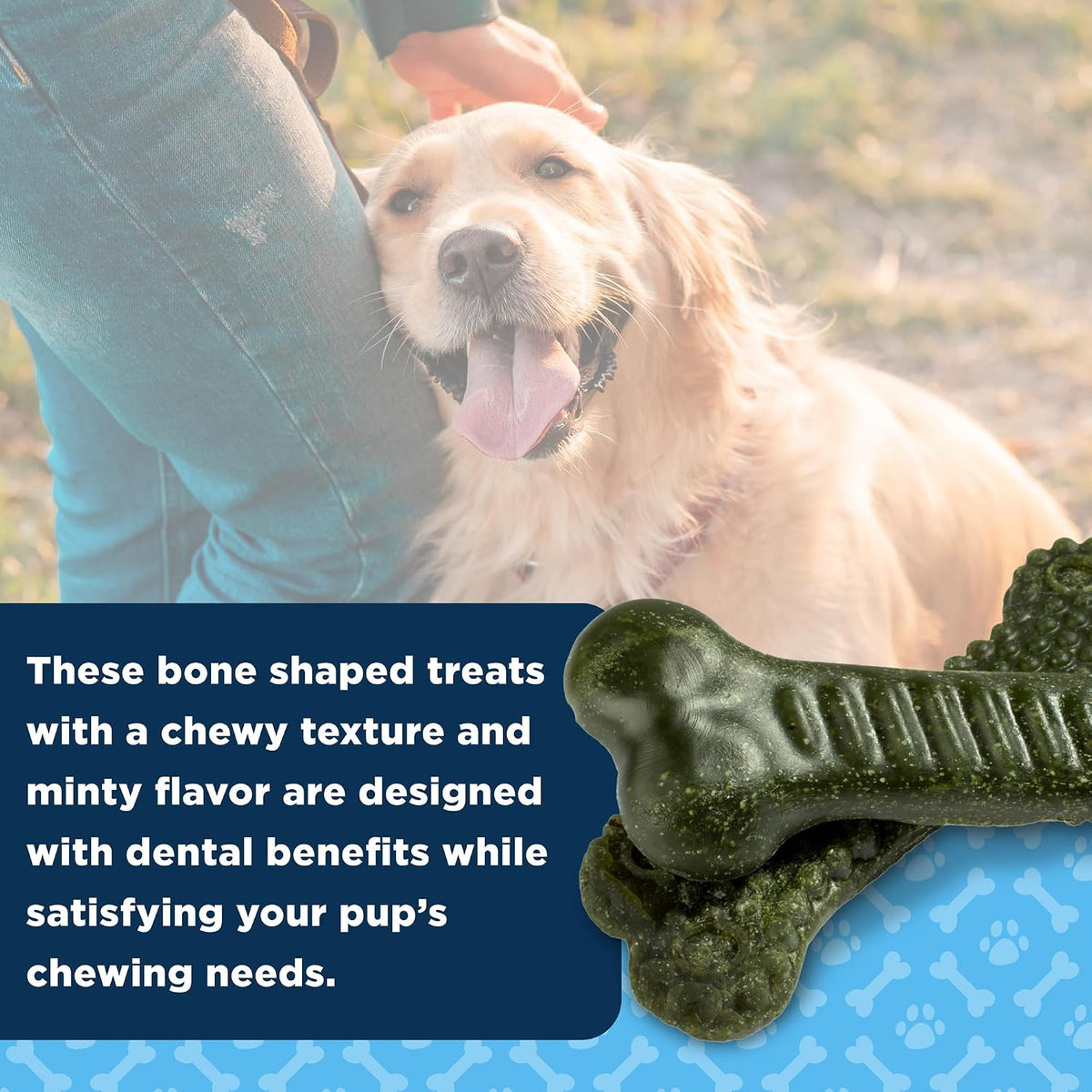 American Kennel Club Medium Dentacare Bones, Mint Flavored, 14 Count
