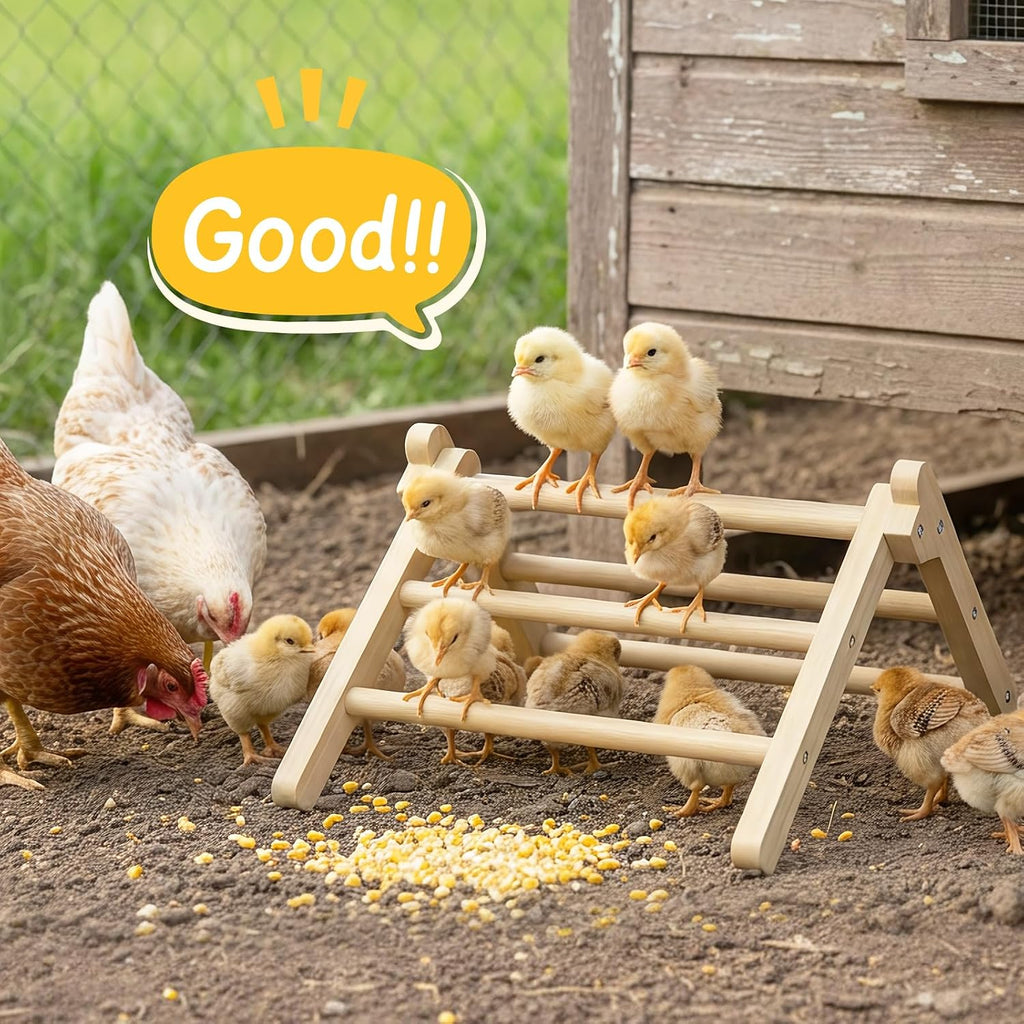 INNOLAND Chick Perch Foldable, Chick Toys Stable & No Assemble