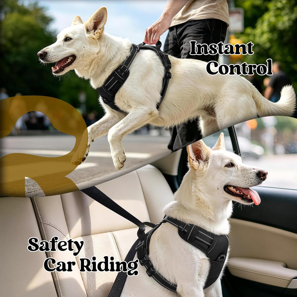 rabbitgoo Dog Harness, No Pull Medium Sized with 2 Leash Clips, Pet Vest