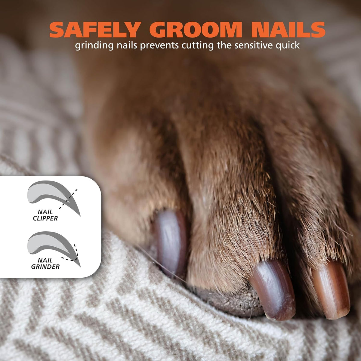 Wahl Dog Nail Grinder Replacement Accessory Kit, 8 Pieces