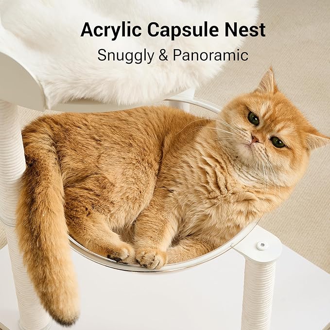 Modern Cat Tree Tower for Indoor Cats up to 12lbs, Wood Cat Bed - Image 3