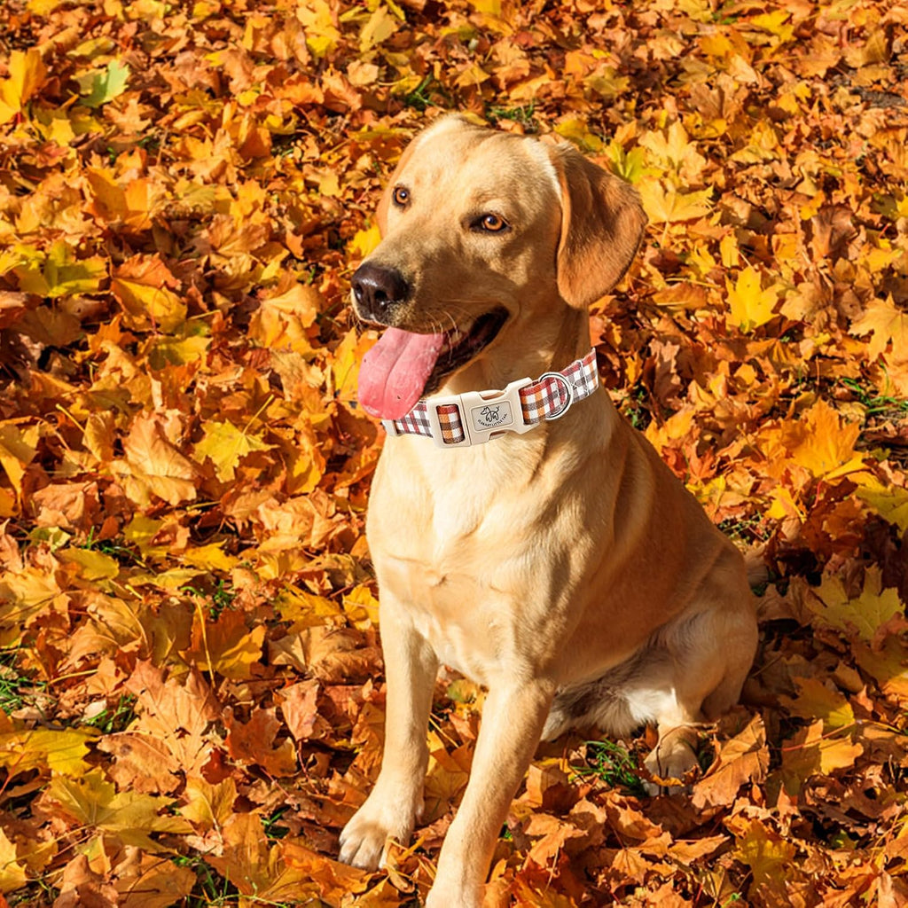 Dog Collar with Leash, Fall Plaid Pet Collar Leash Adjustable Collar for Small Medium Large Dogs Soft Puppy Collars with Quick Release Buckle Girl Boy Dog Collars