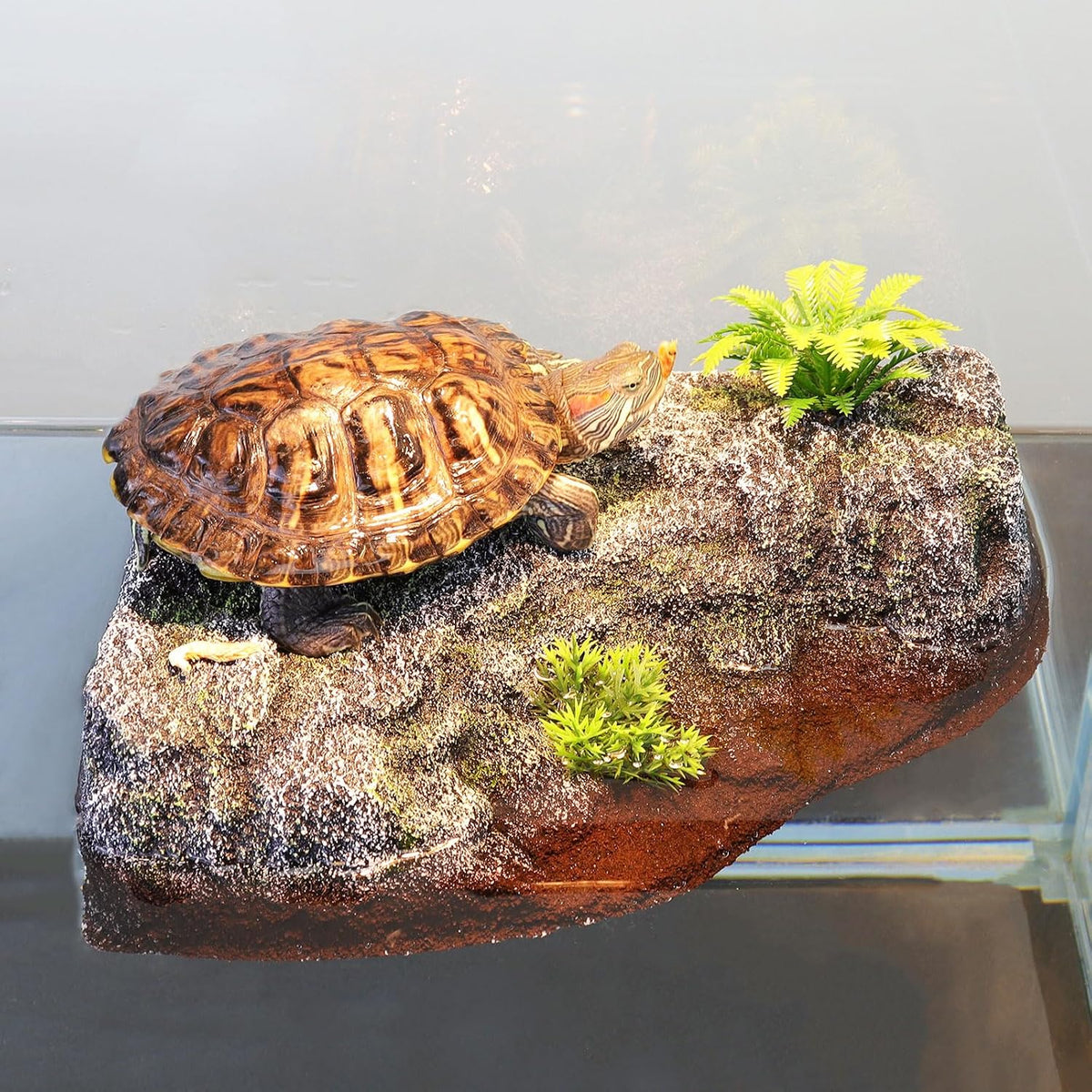 Turtle Basking Platform, Floating Turtle Dock for Small Turtles