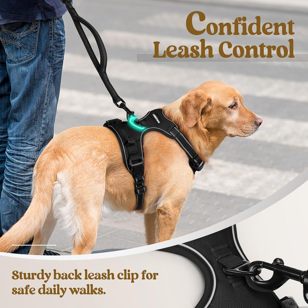 rabbitgoo Dog Harness, No Pull for Small Dogs with 2 Leash Clips, Pet Vest